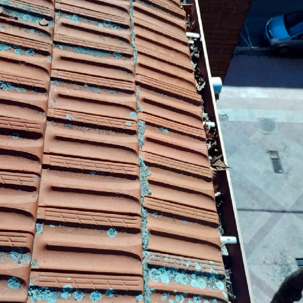 limpieza de canalones y tejados